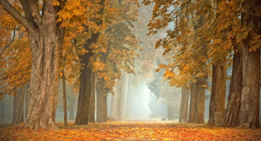 美图秀秀秋天海报设计与配色技巧