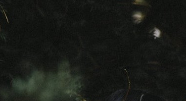 DIY订婚请柬，订婚宴邀请函制作指南