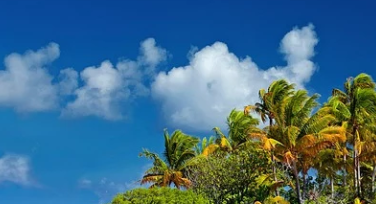 Photoshop网格使用指南,新手必看!