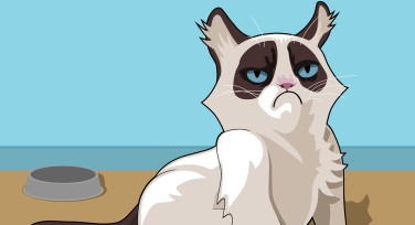 蓝底配色灵感与技巧：探索蓝色配色魅力