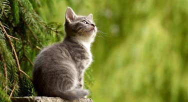 灰色配色方案大全：从简约到豪华的灰色设计灵感