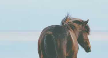 简单快速自制唯美浪漫星空背景图