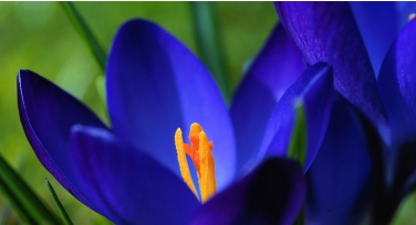 克莱因蓝色：深邃而独特的配色探索