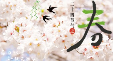 丰富的免费素材帮你轻松制作24节气海报！