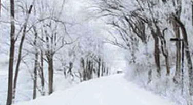 10个雪地摄影创意和技巧，冬天怎么拍出好照片？