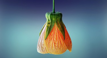 创造迷人的室内设计：蓝色的配色技巧与灵感指南