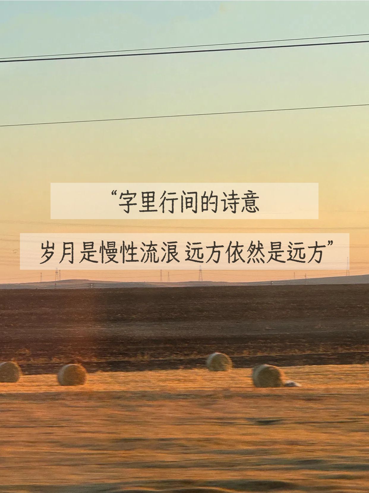 实景风黄色通用类交流分享富有诗意句子分享小红书封面