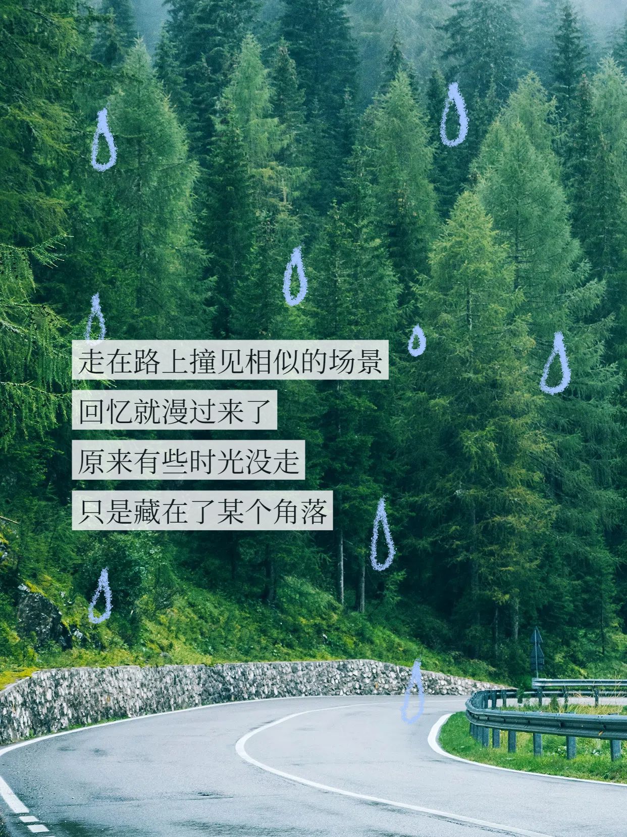 实景风绿色交流分享关于回忆文案分享小红书封面