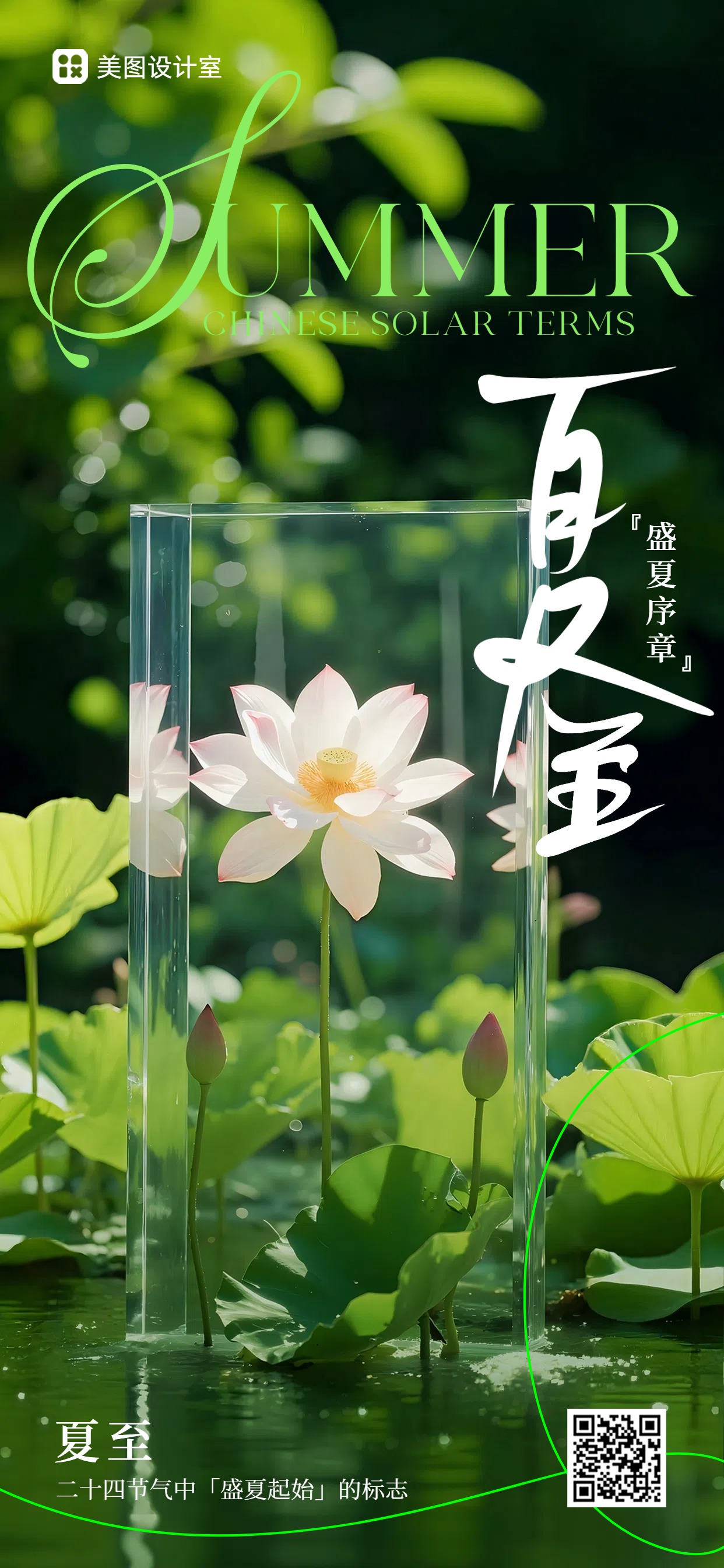 实景风通用类绿色夏至科普手机全屏海报