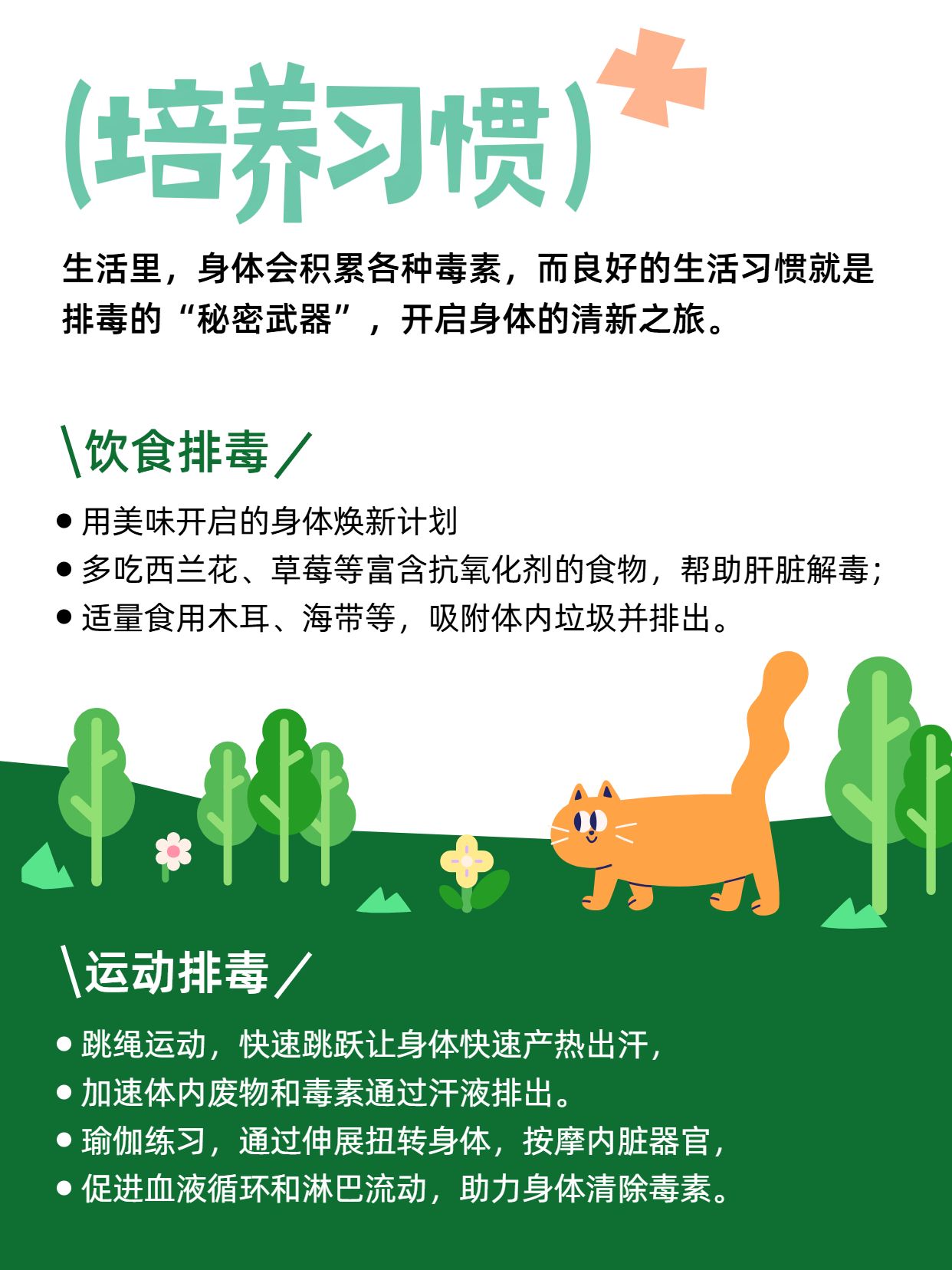 卡通风绿色通用类交流分享帮身体排毒的生活习惯小红书内页