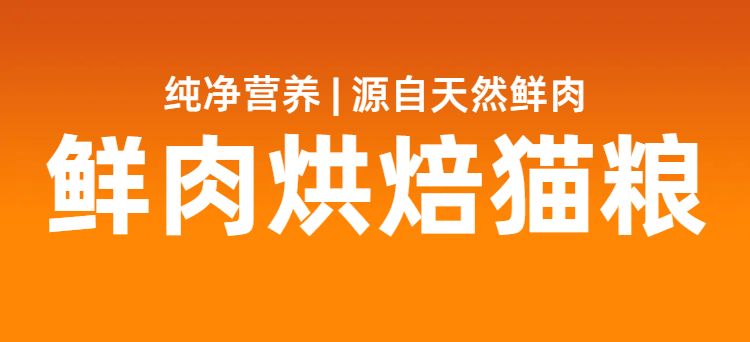 时尚风橙色鲜花萌宠类营销带货宠物用品类商品详情页