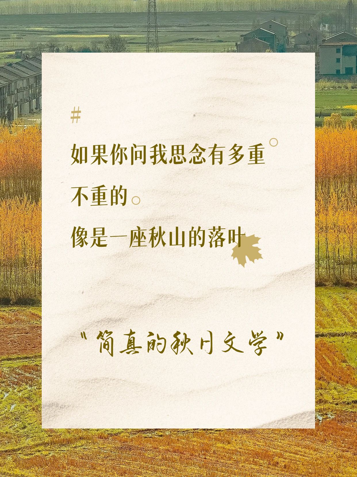 文艺风橙黄色通用类交流分享和秋天有关的句子小红书封面