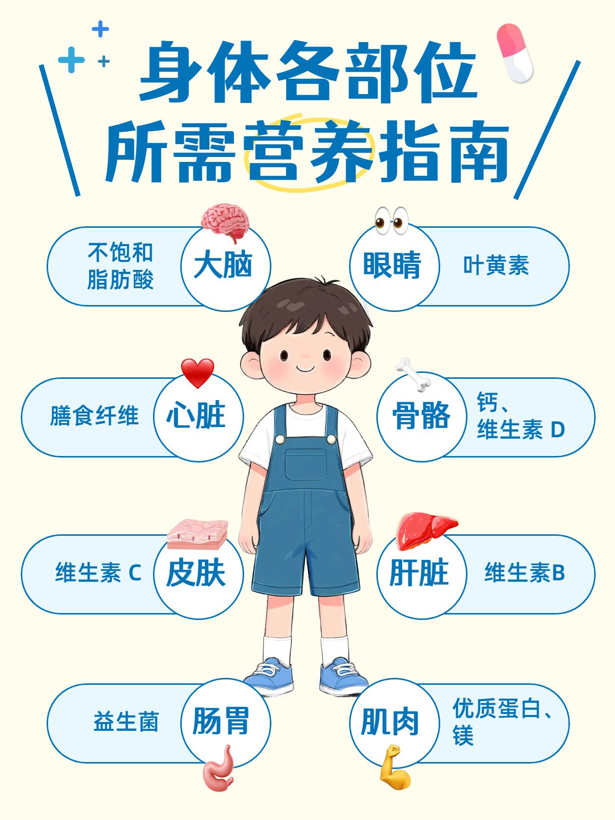 卡通风蓝黄色通用类交流分享身体各部位所需营养小红书封面