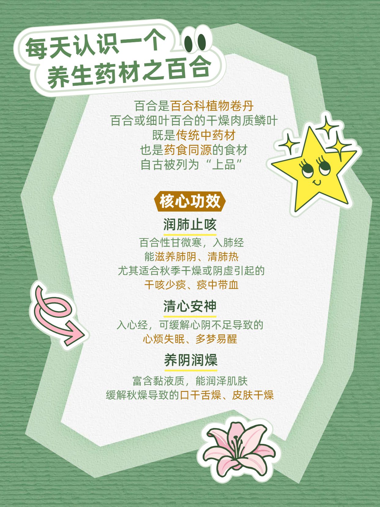 简约卡通风绿色医疗保健类交流每天认识一个养生药材小红书封面