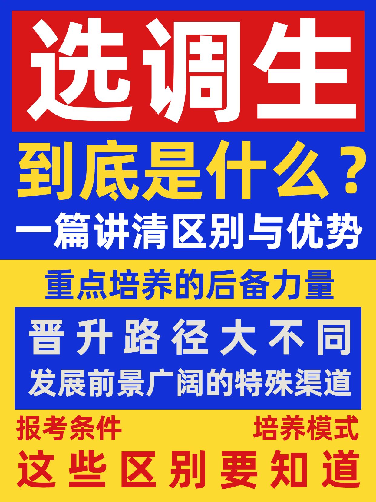 简约时尚风蓝色交流分享冲突且明亮选调生是什么小红书封面