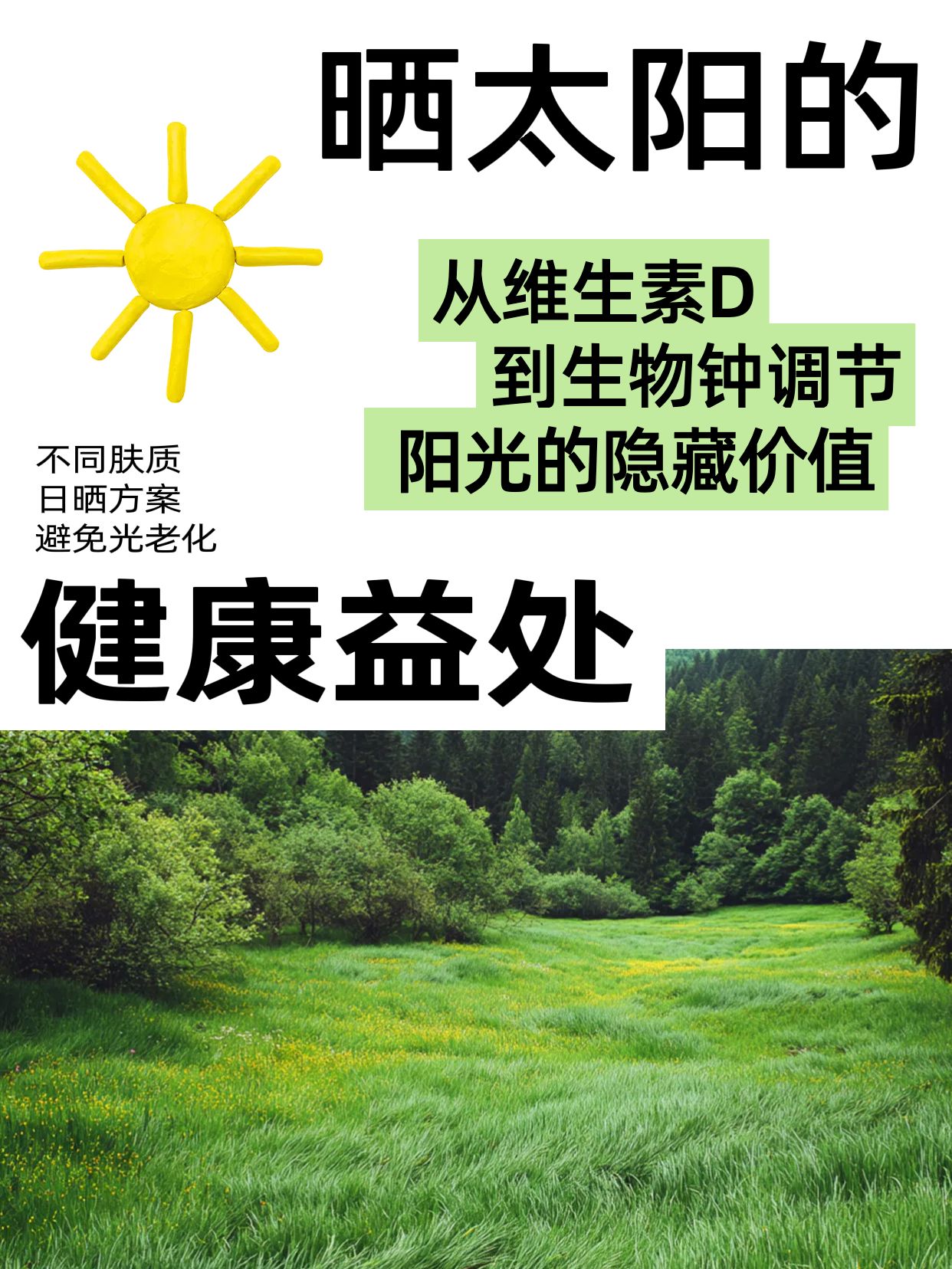 清新实景风绿色通用类交流分享晒太阳对身体有哪些好处小红书封面