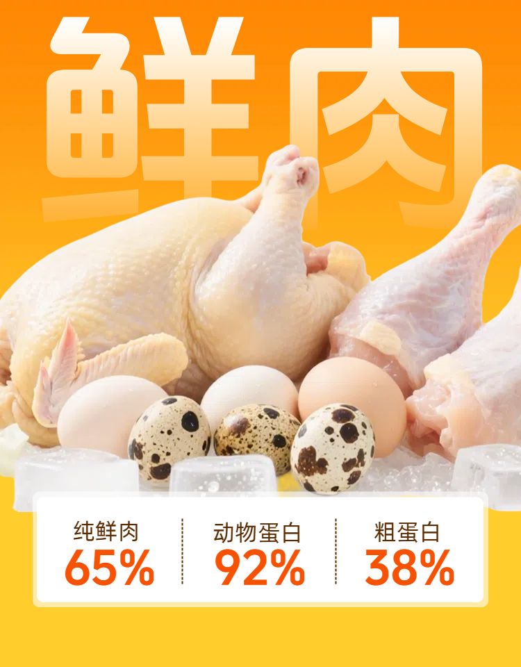 时尚风橙色鲜花萌宠类营销带货宠物用品类商品详情页