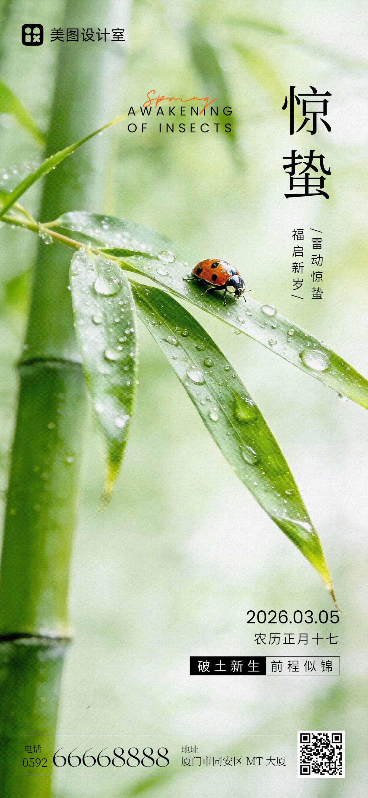 实景风绿色通用类惊蛰祝福问候手机全屏海报