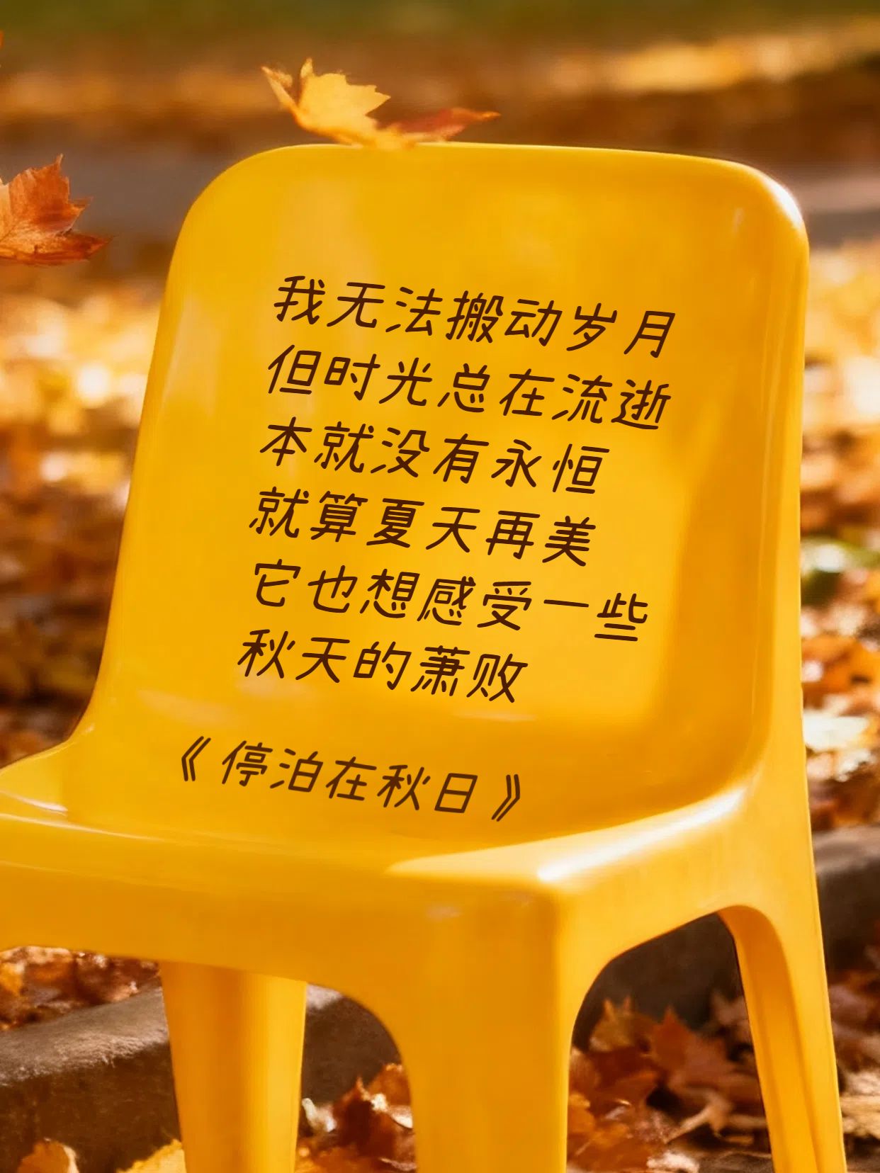 实景风橙色通用类交流分享秋天的诗小红书封面