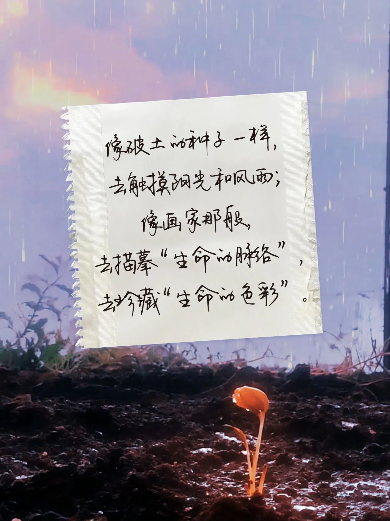 实景合成风紫色棕色通用类交流分享关于生命力的诗小红书封面