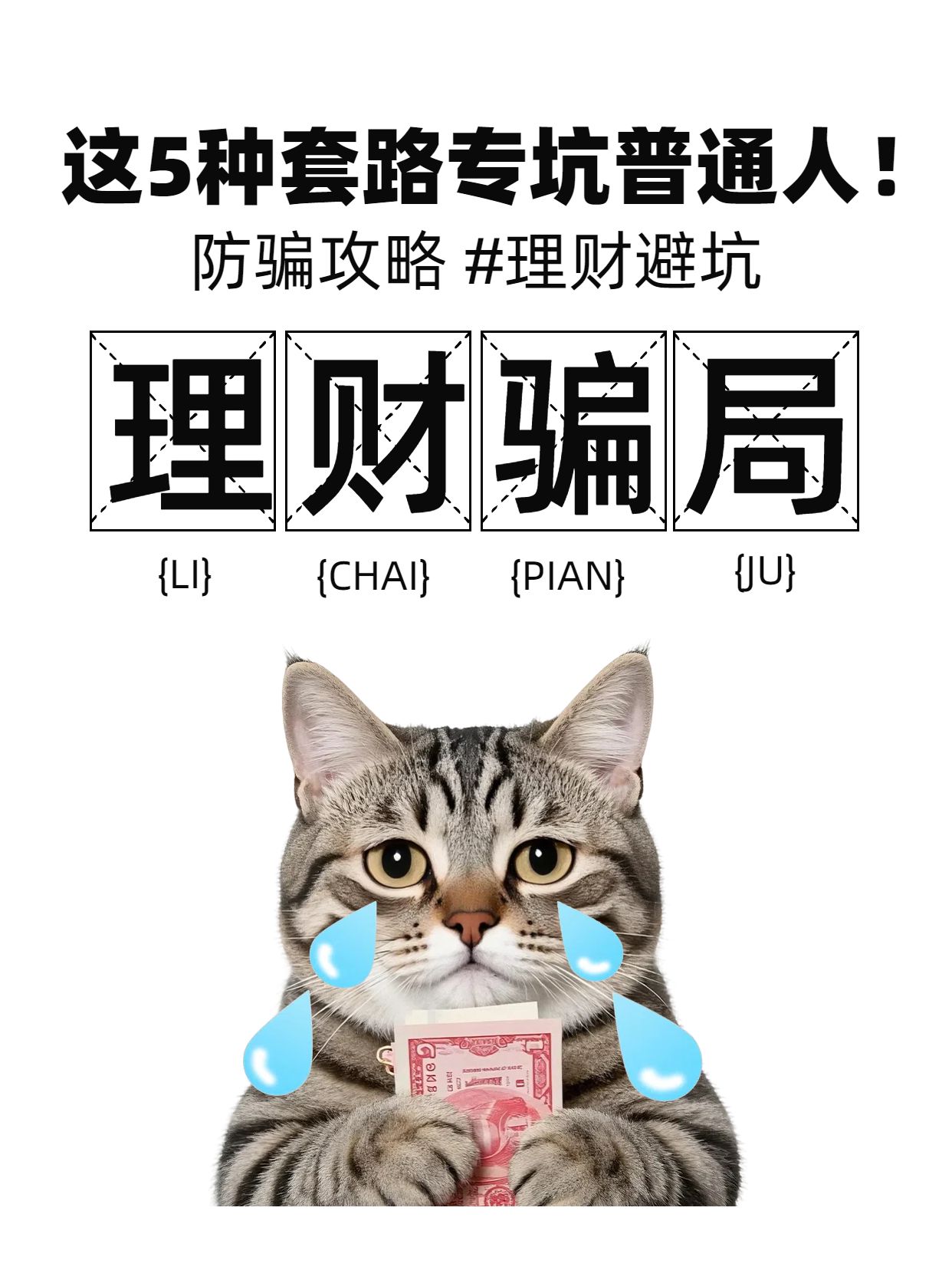 简约风黑灰色金融保险类解读常见理财骗局小红书封面