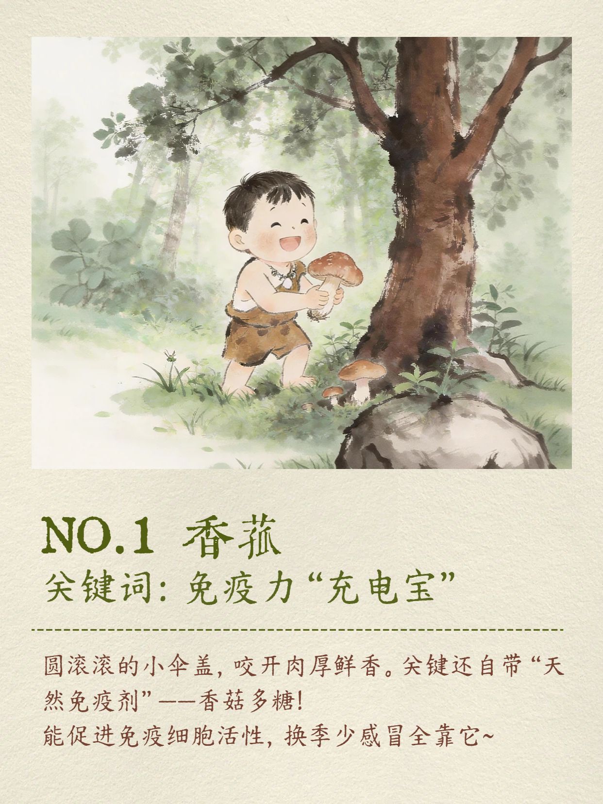 文艺插画风黄绿色交流分享菇类养生小红书内页