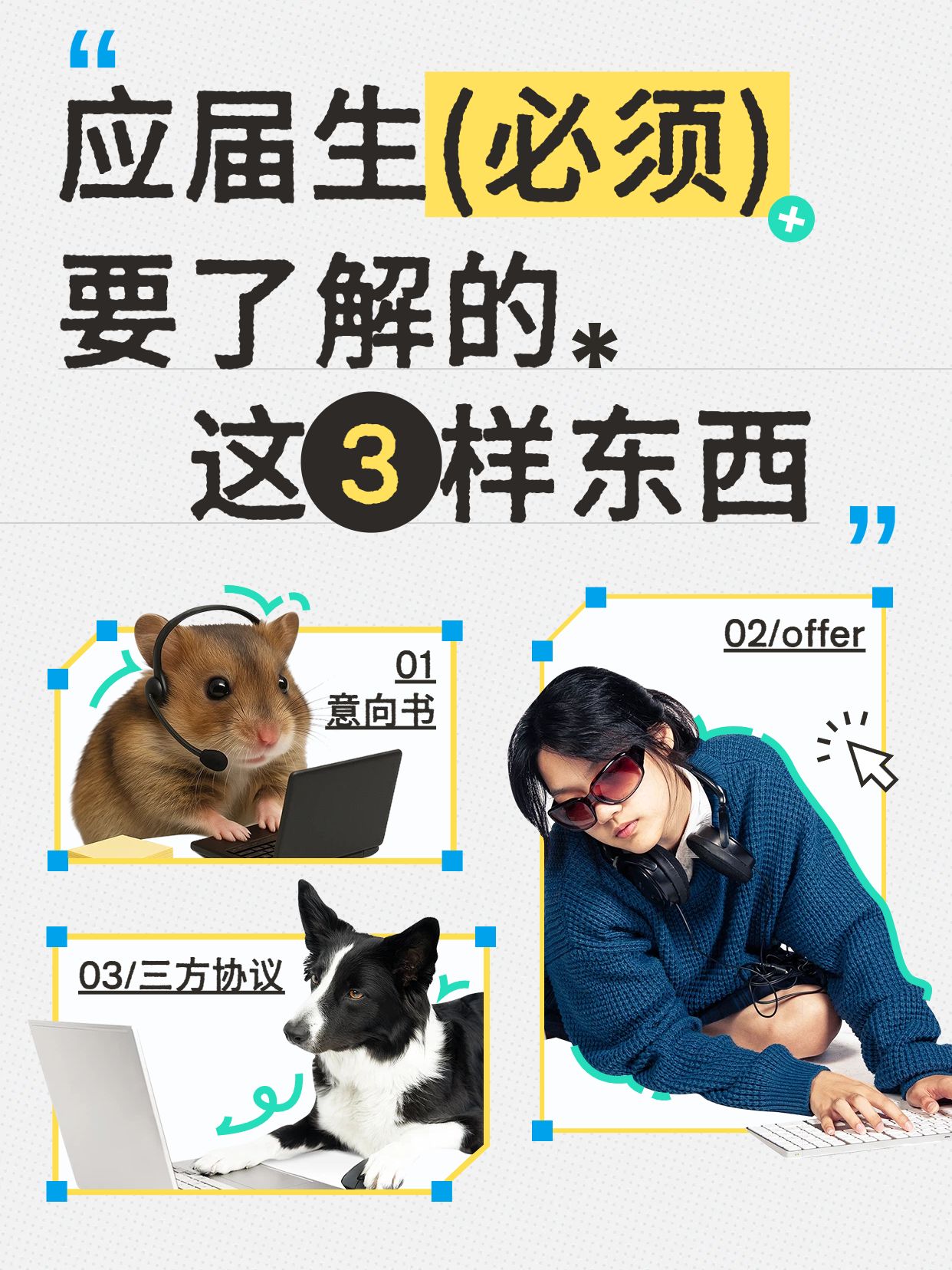 拼贴蓝色通用干货意向书、offer、三方协议详解小红书封面