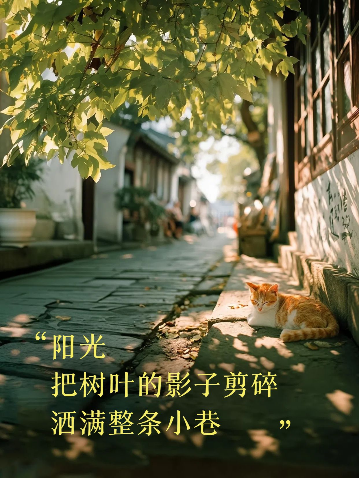 实景风黄色通用类交流分享关于夏天的文案小红书封面