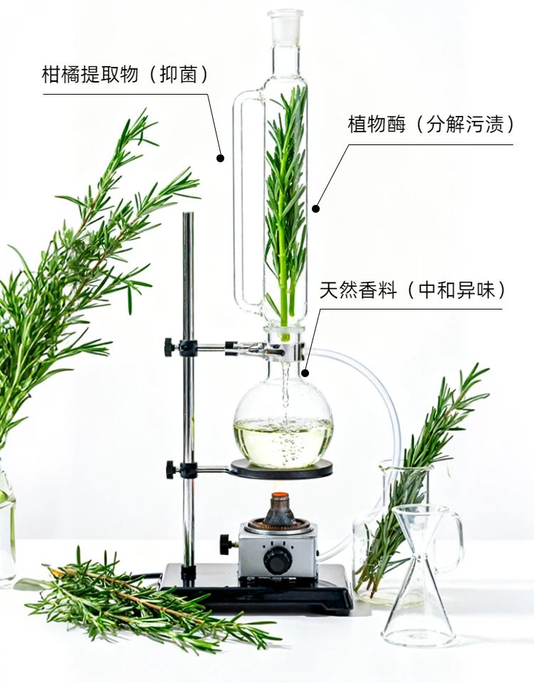 时尚风蓝白色鲜花萌宠类营销带货宠物用品类商品详情页