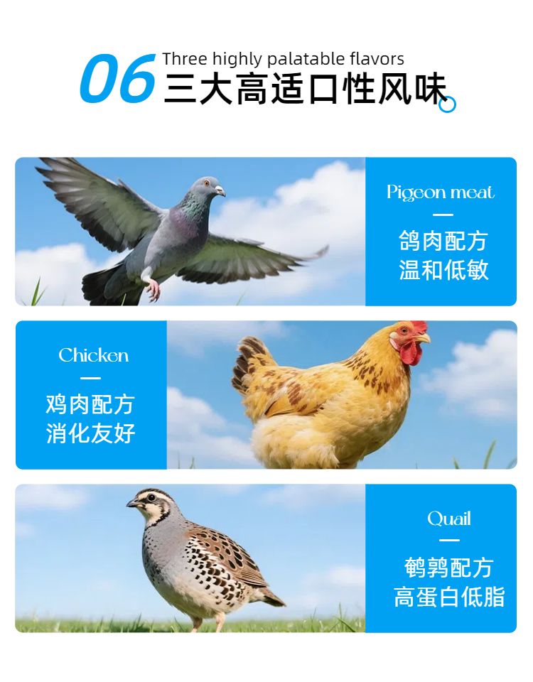 简约时尚风蓝白色鲜花萌宠类营销带货宠物用品类商品详情页