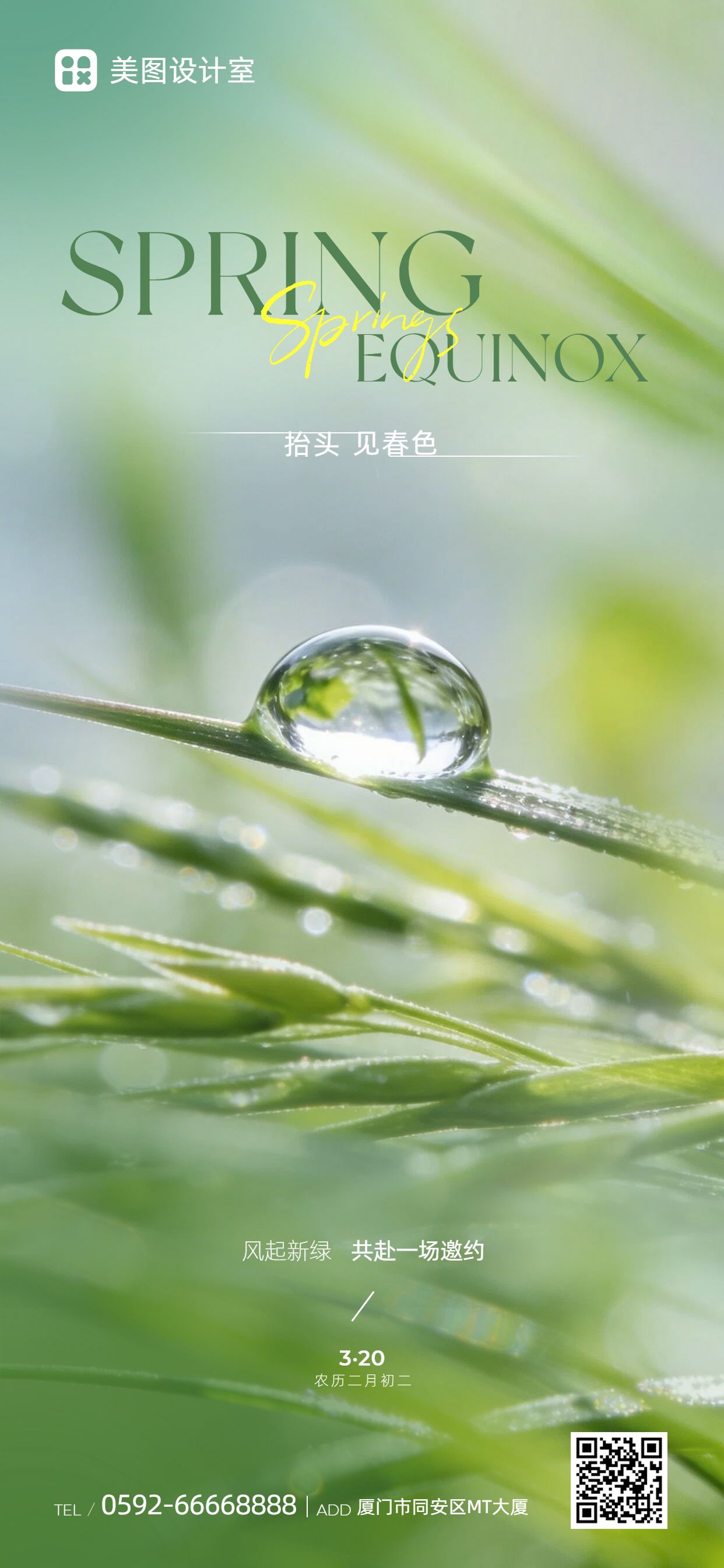 清新风绿色通用类祝福问候春分手机全屏海报