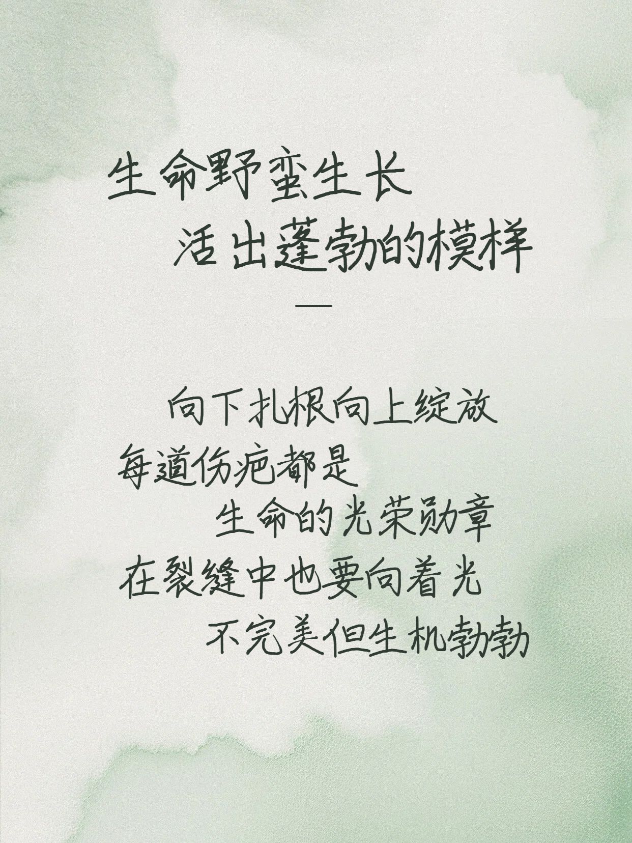 简约文艺风灰绿色通用类交流分享充满生命力文案分享小红书封面