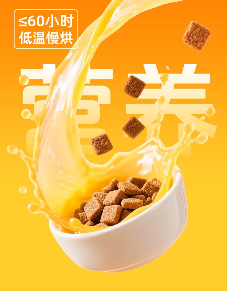 时尚风橙色鲜花萌宠类营销带货宠物用品类商品详情页