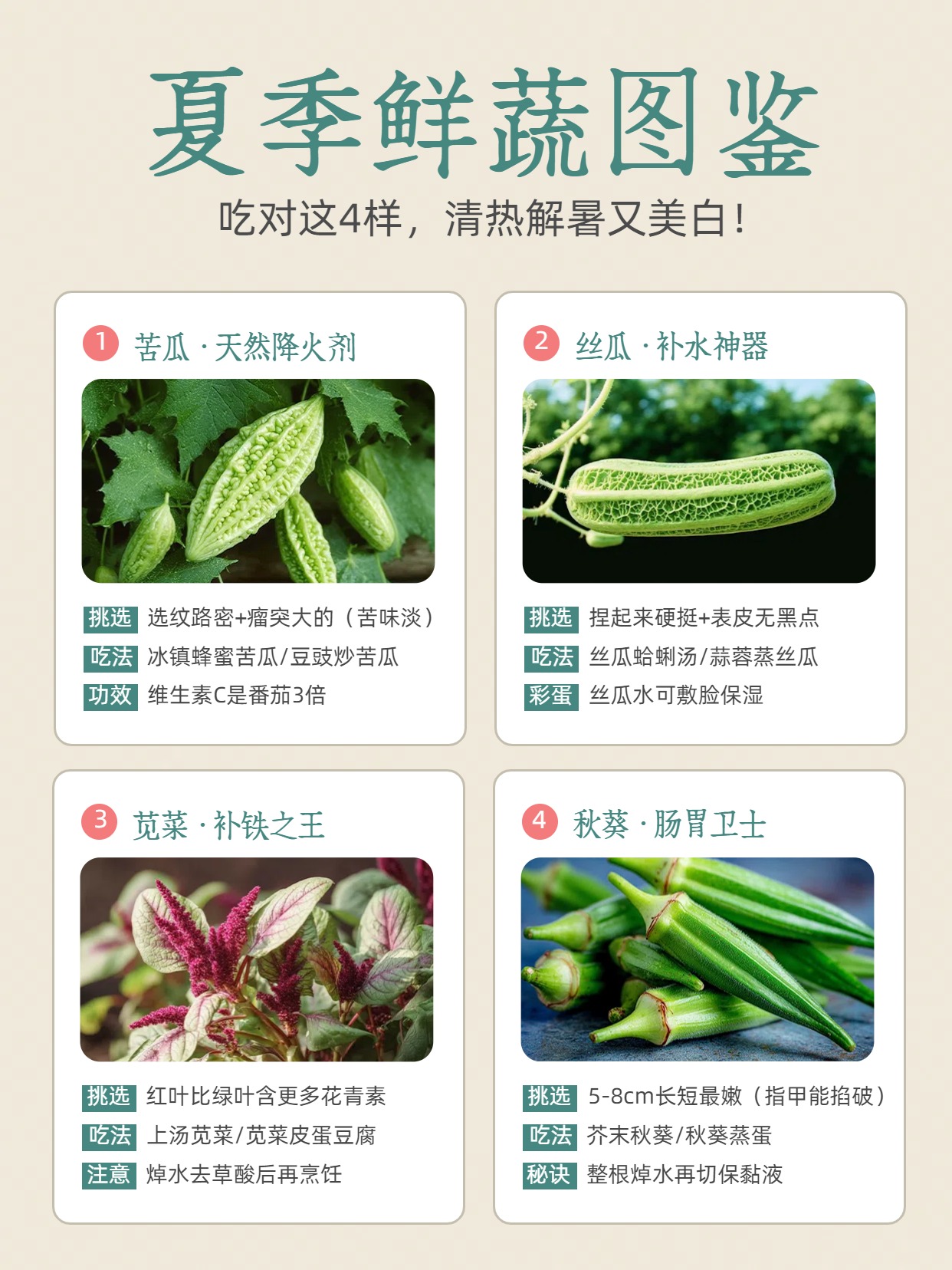 简约风绿色食品生鲜类交流分享夏季应季鲜蔬小红书封面