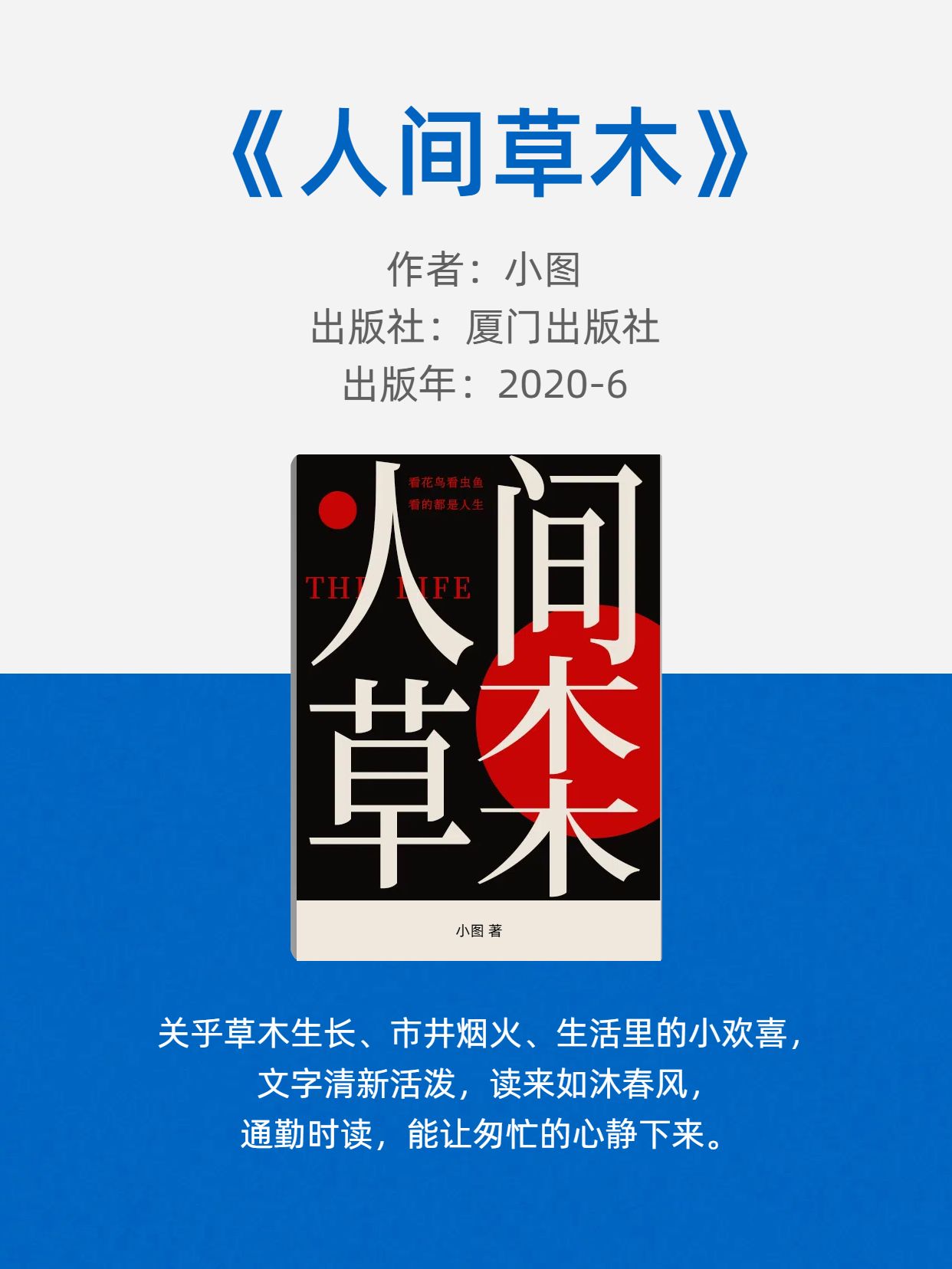 简约风蓝色通用类交流分享通勤书单分享小红书内页