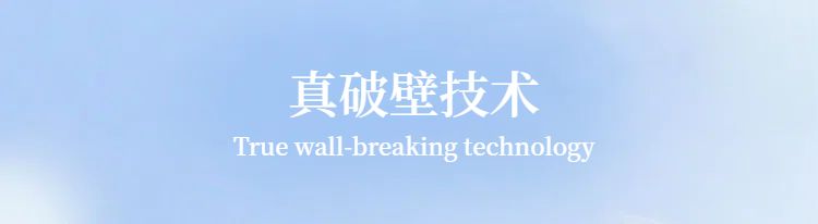 简约风蓝色数码家电类营销带货小型家电详情页