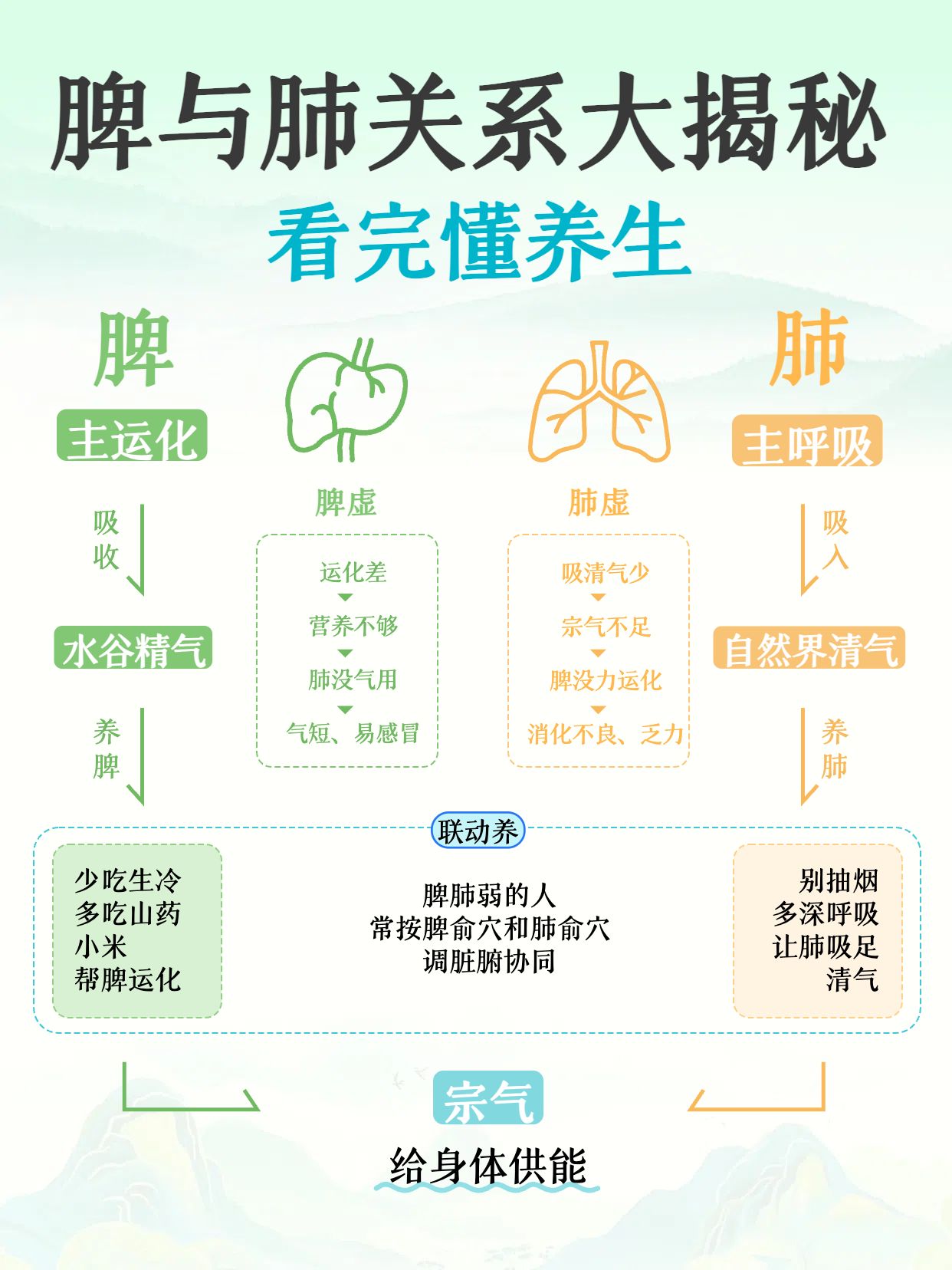 简约时尚风黄绿色通用类交流分享五脏六腑的关系是什么小红书封面