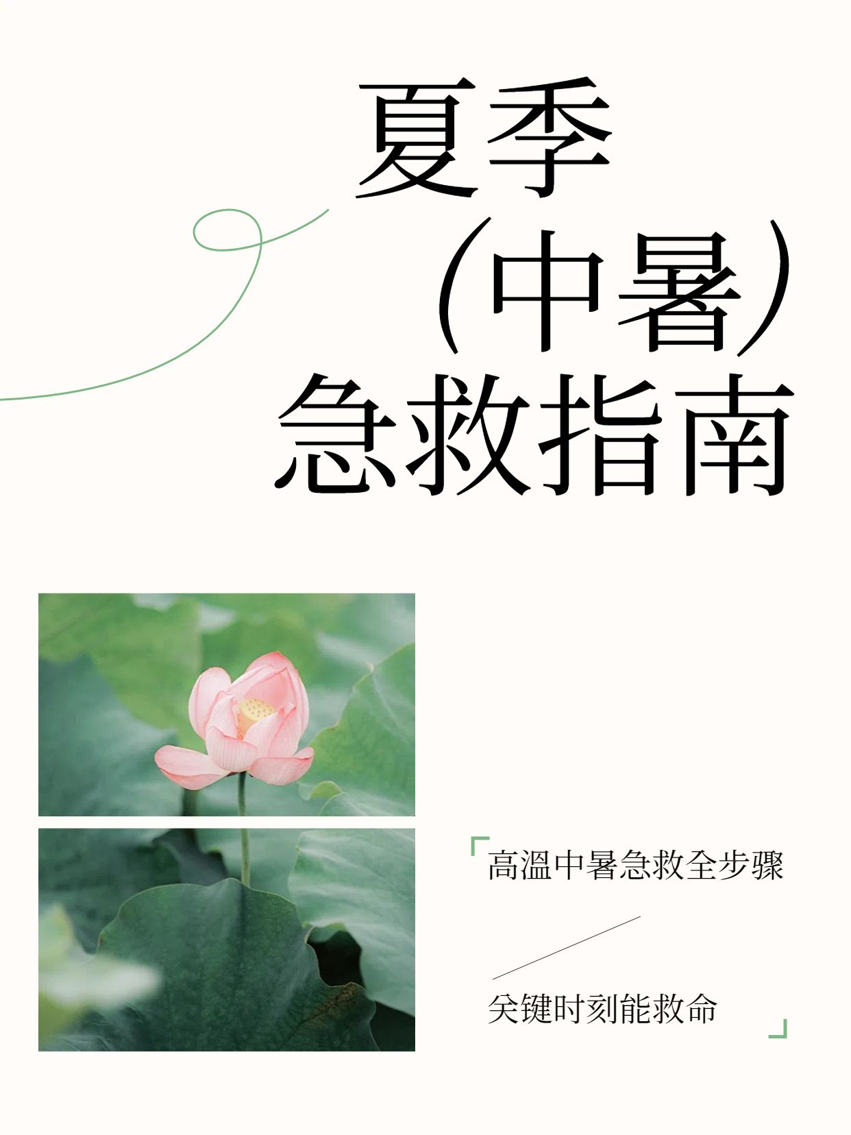 文艺风白色通用类交流分享夏季中暑怎么办小红书封面