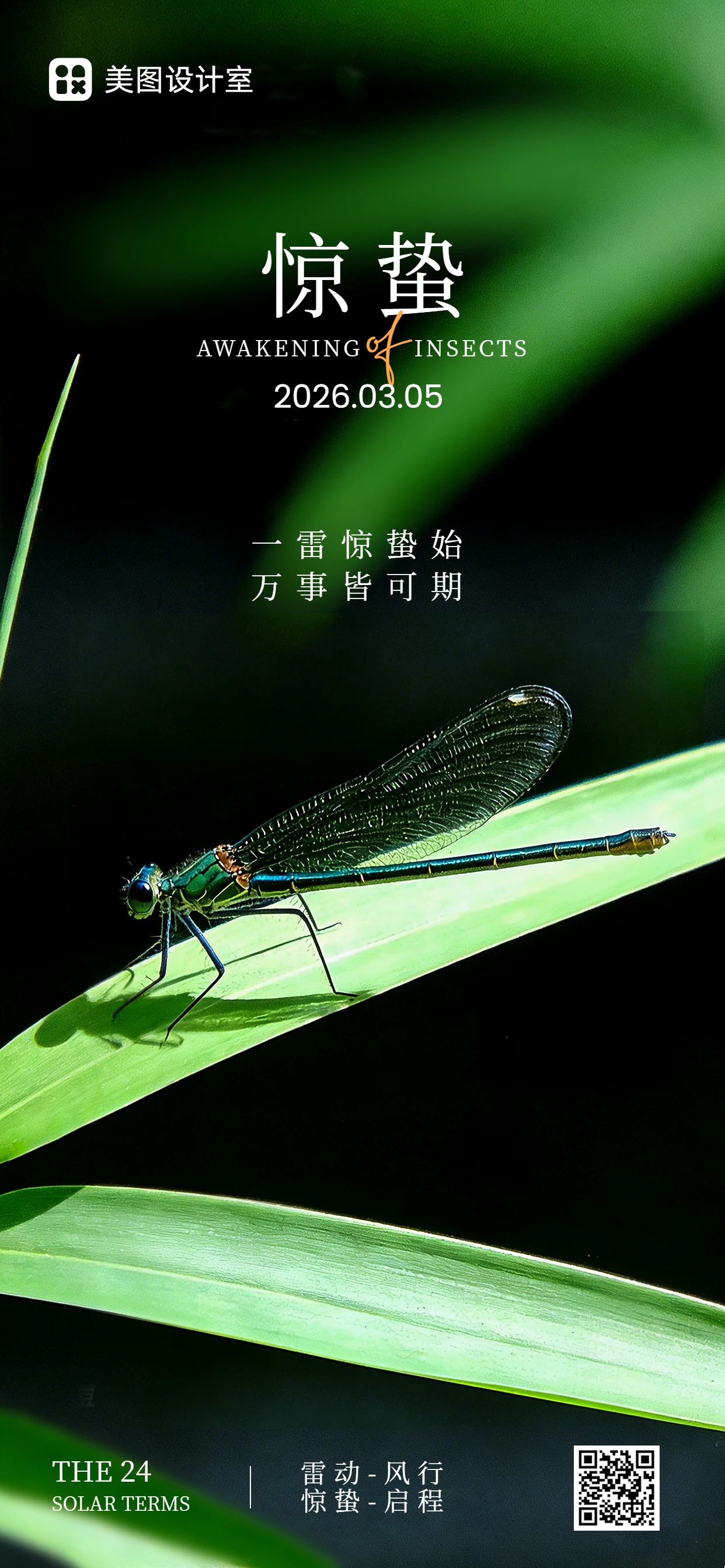 实景风绿色通用类惊蛰祝福问候手机全屏海报