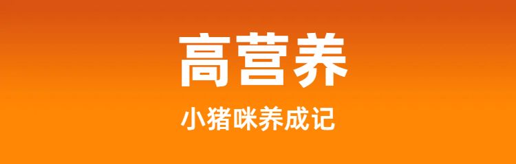 时尚风橙色鲜花萌宠类营销带货宠物用品类商品详情页