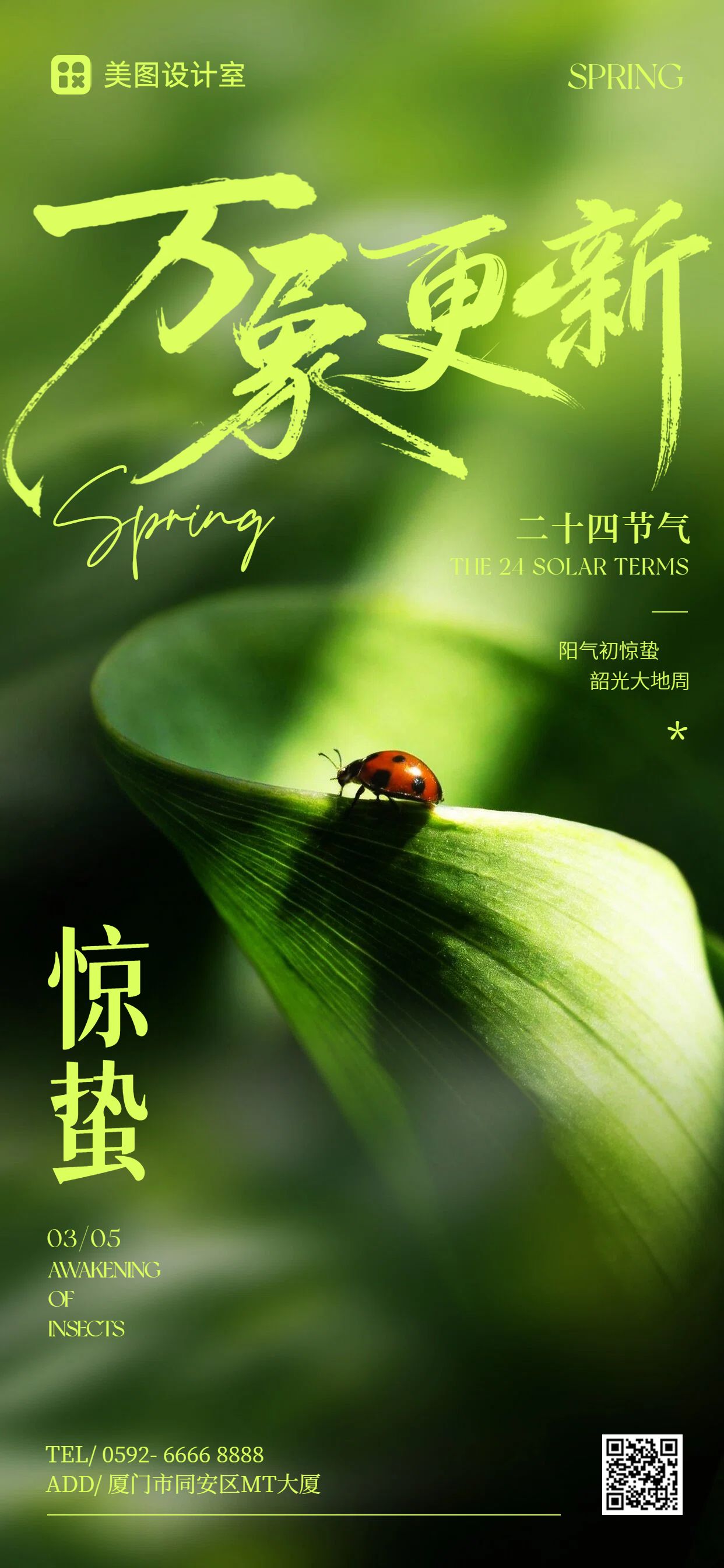 清新风绿色通用类惊蛰祝福问候手机全屏海报