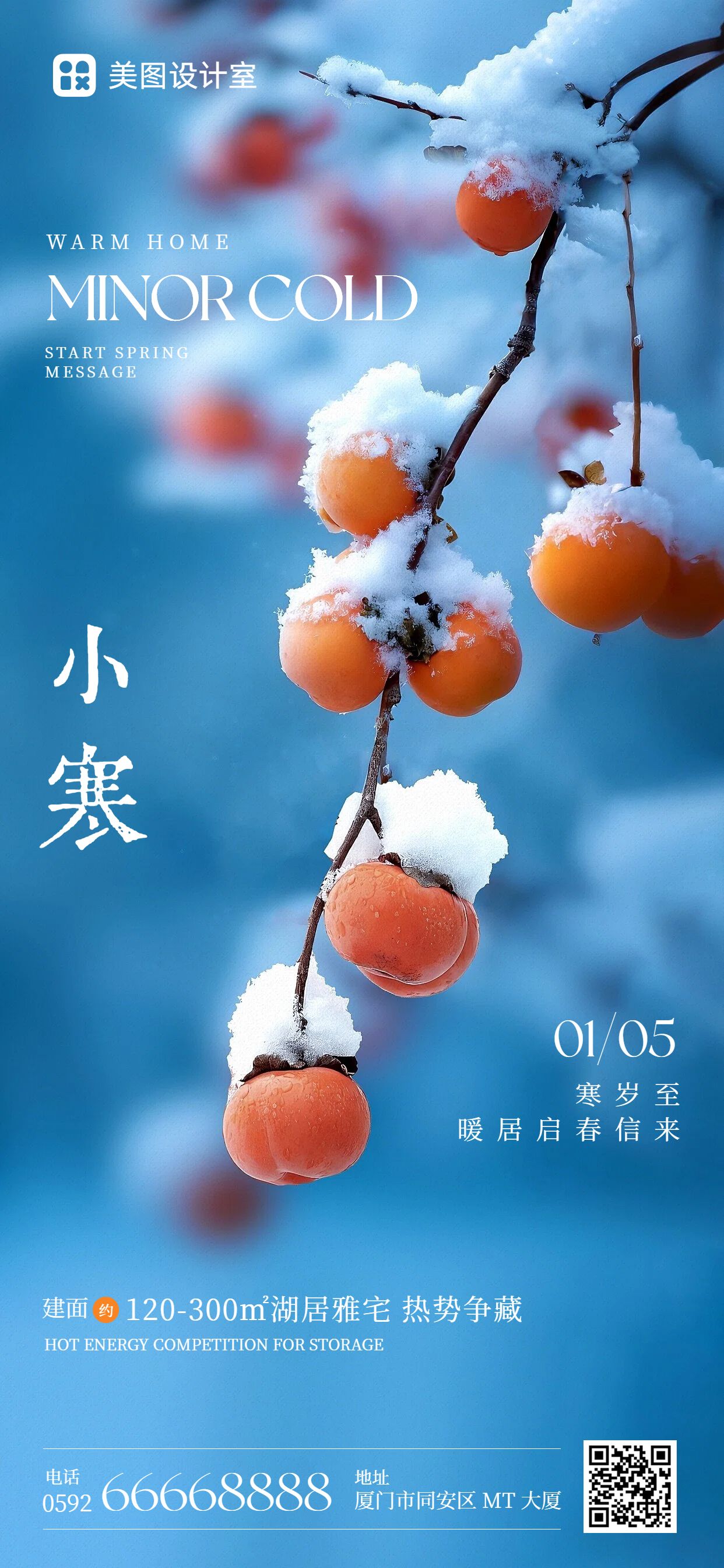 实景风蓝色通用类营销带货小寒营销手机全屏海报