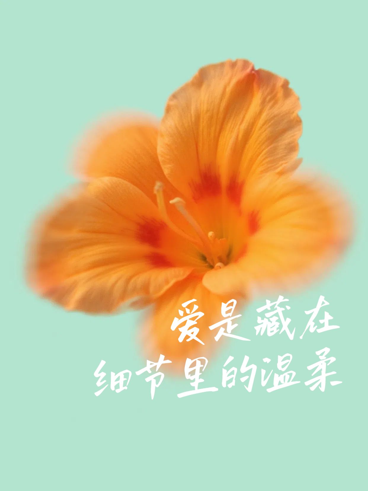 文艺风绿色通用类交流分享充满爱意语句分享小红书封面