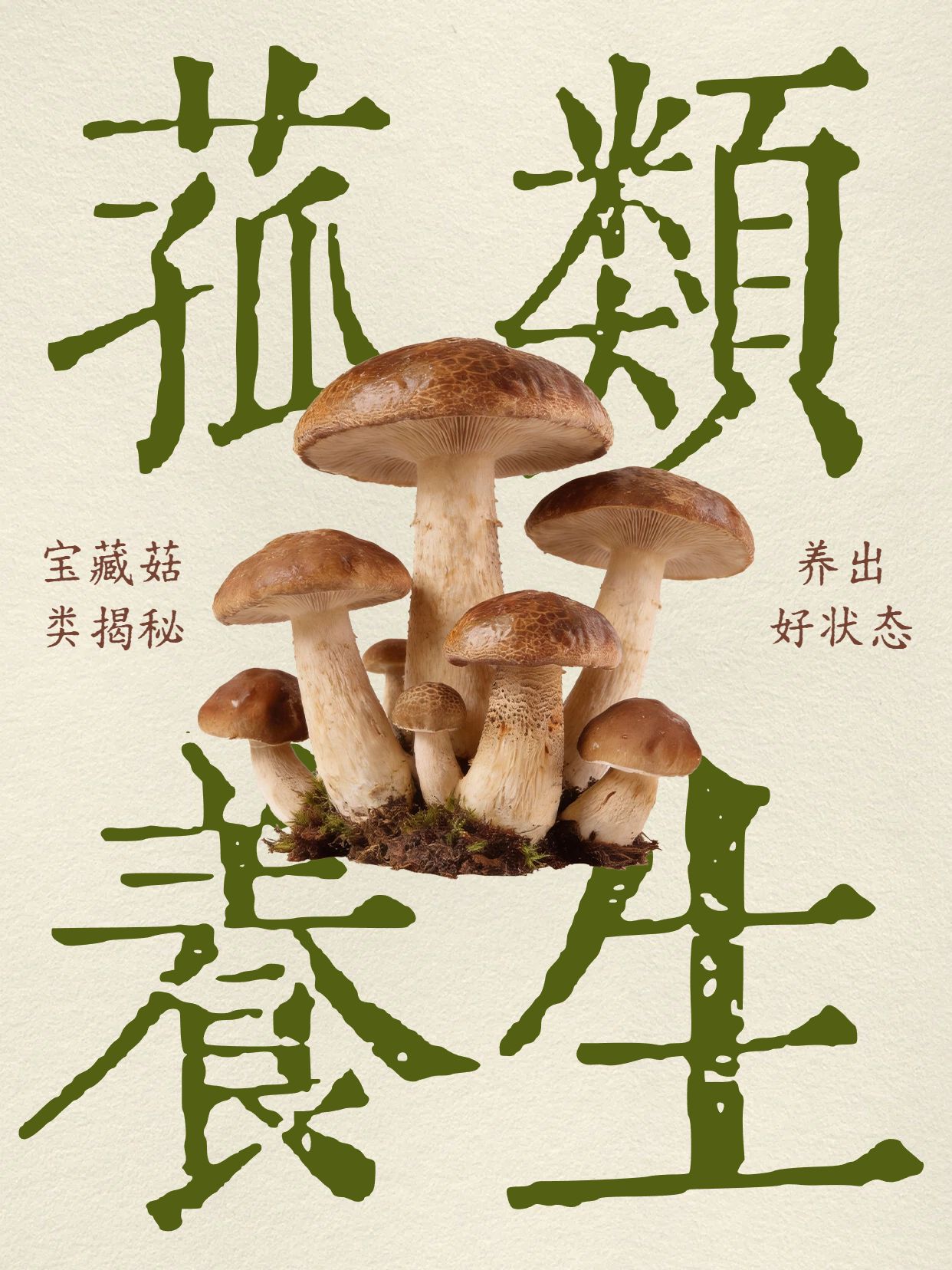 简约大字风黄绿色通用类交流分享菇类养生小红书封面