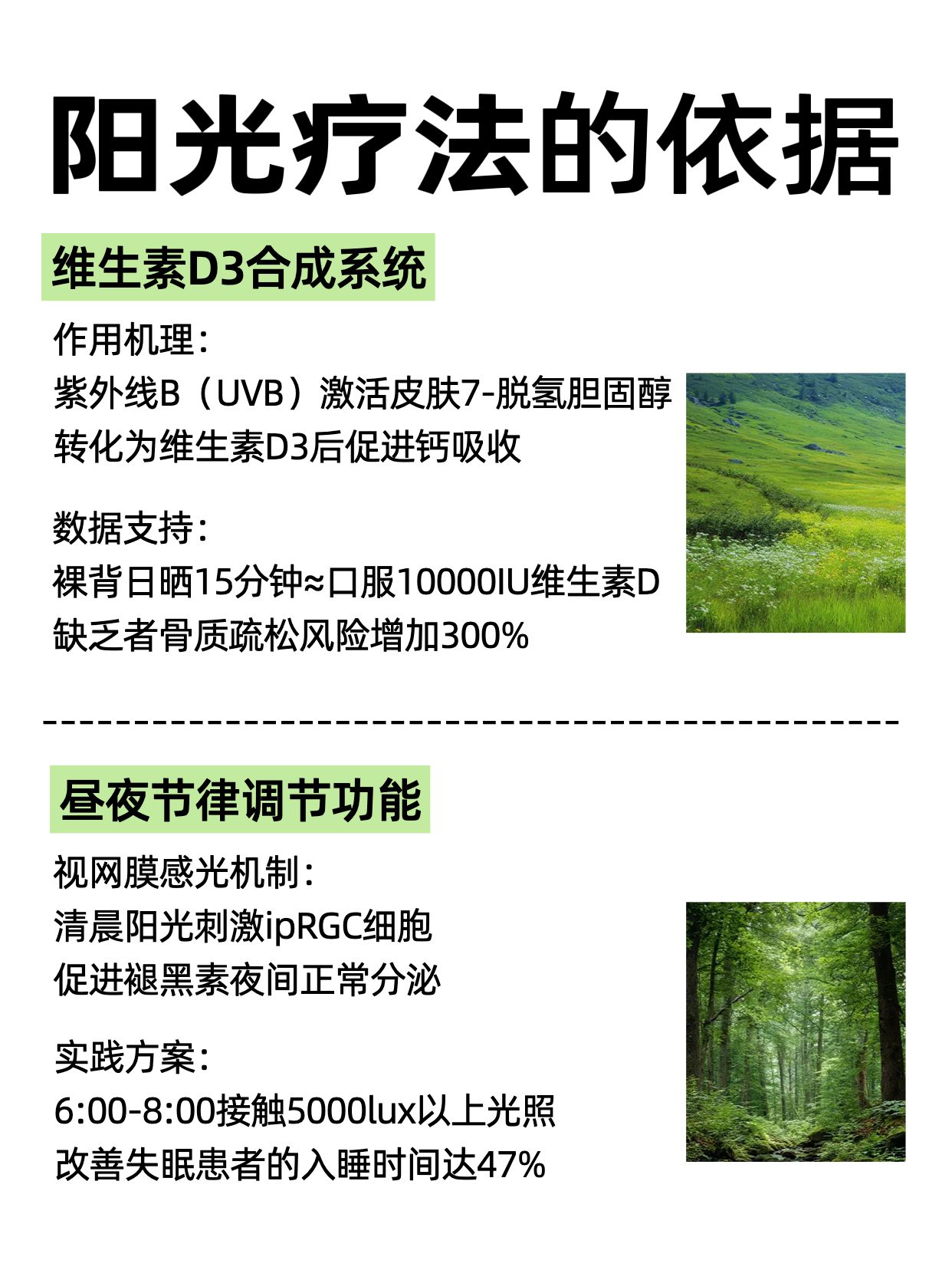 简约清新风绿色通用类交流分享晒太阳对身体有哪些好处小红书内页