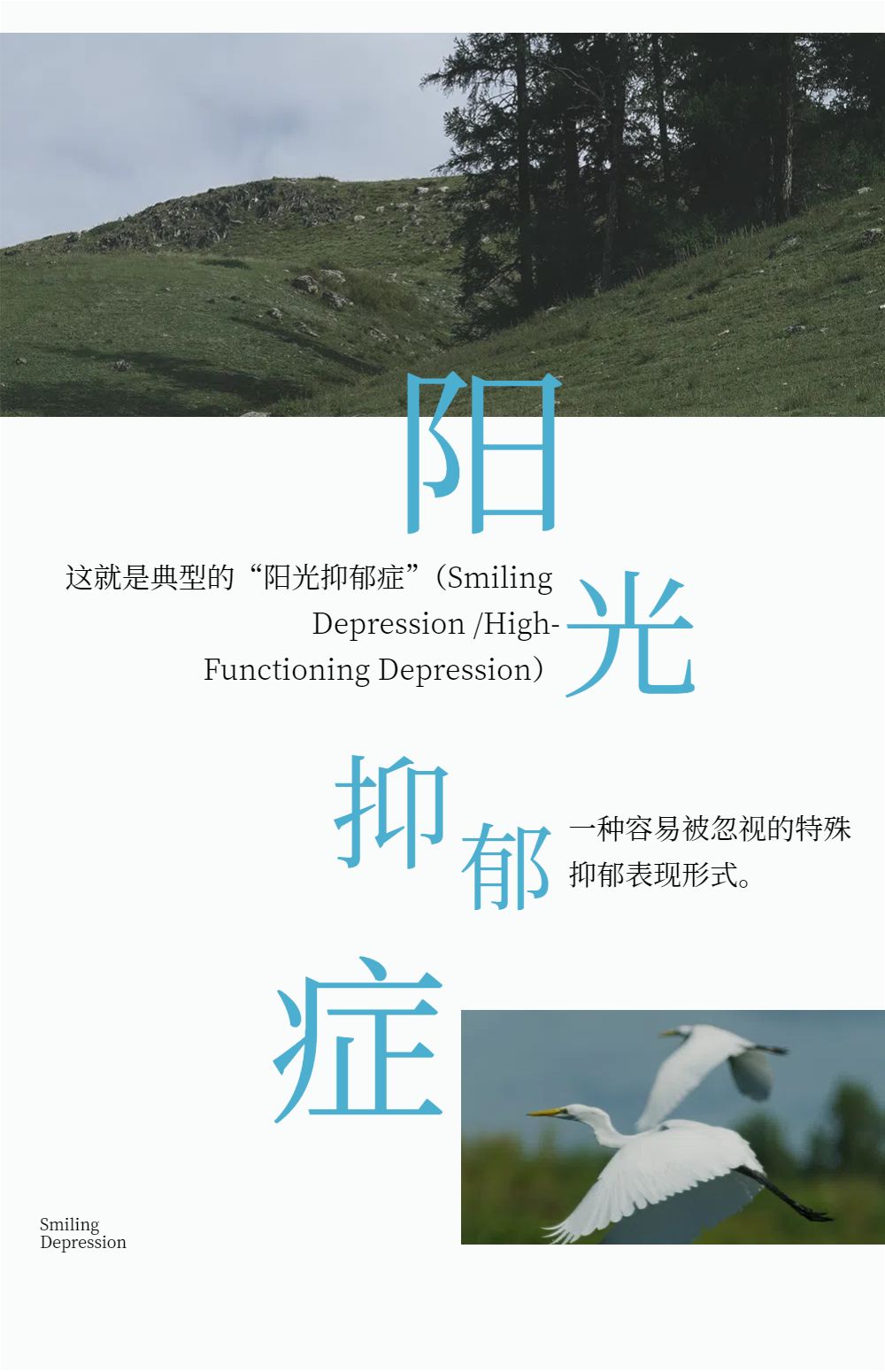 文艺实景风蓝色通用类情绪调节交流分享公众号内页海报