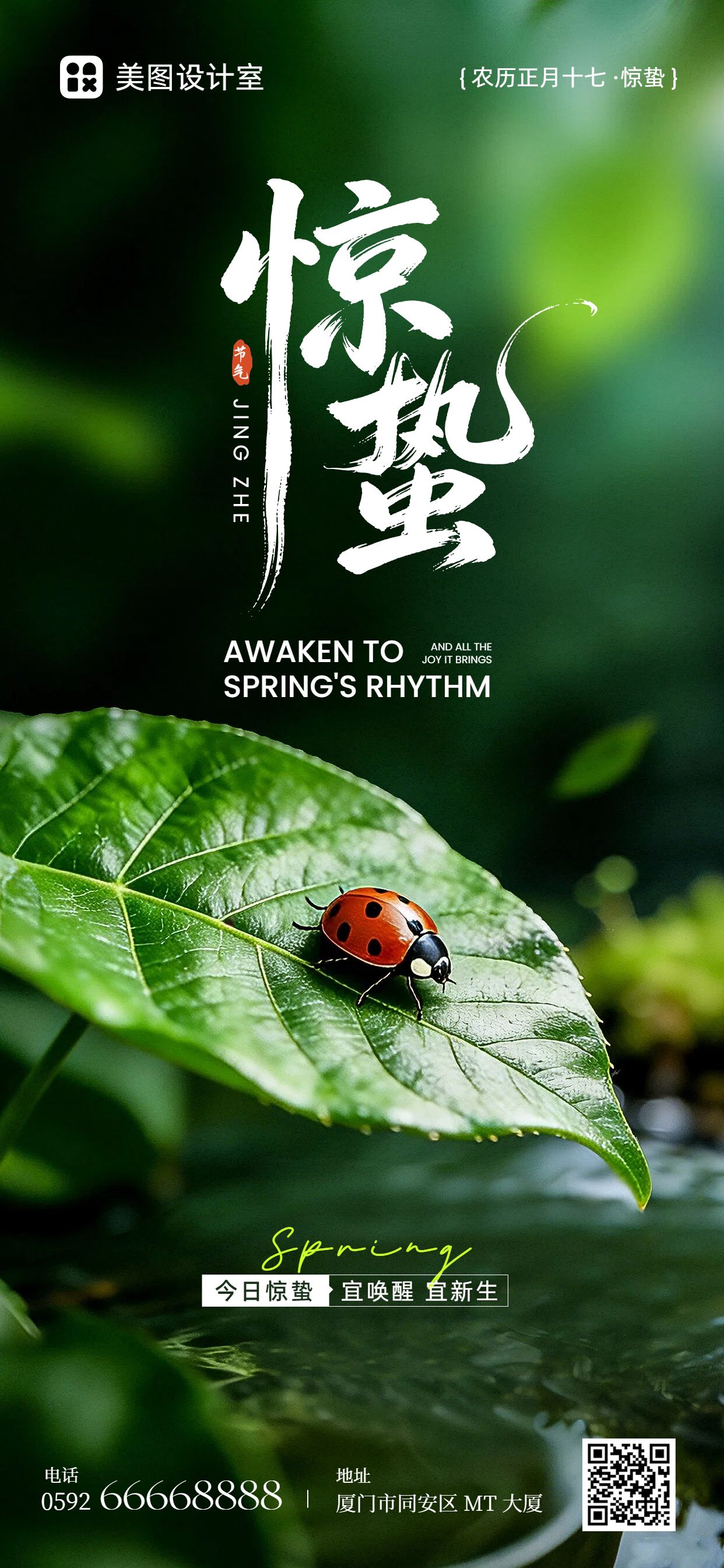 实景风绿色通用类惊蛰祝福问候手机全屏海报