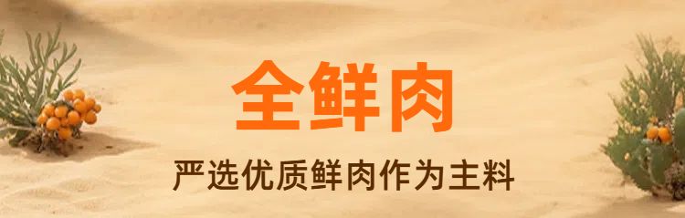 时尚风橙色鲜花萌宠类营销带货宠物用品类商品详情页