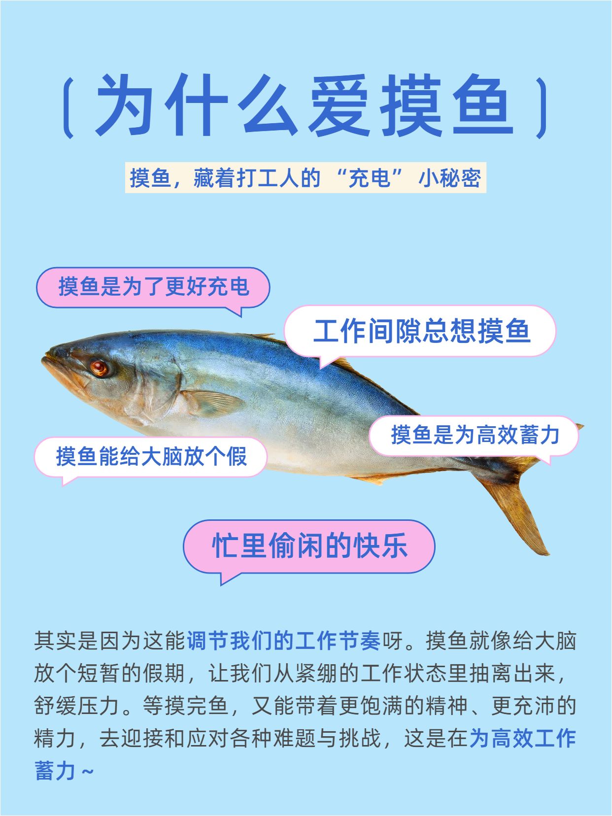 简约风蓝色通用类交流分享为什么爱摸鱼小红书封面