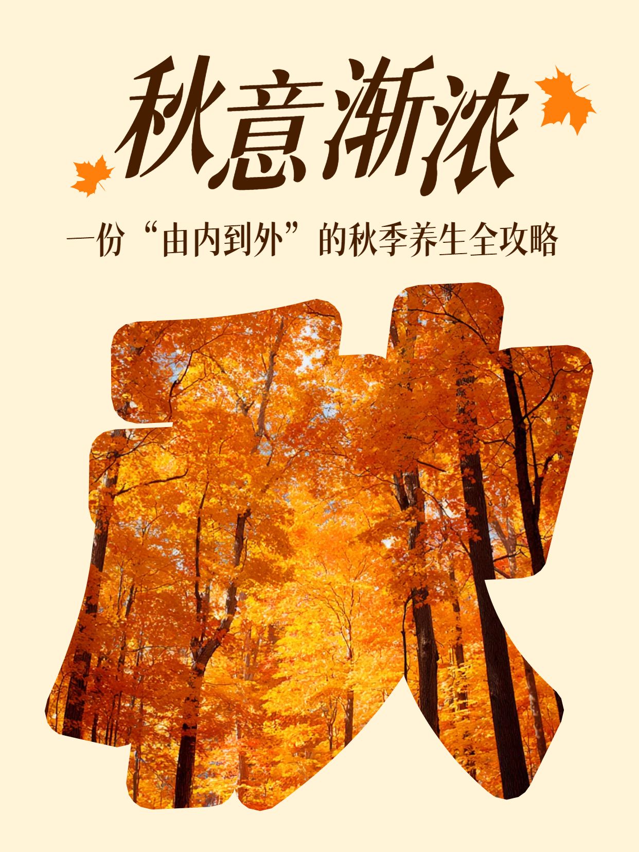 简约时尚风橙色医疗保健类交流分享秋季养生攻略小红书封面